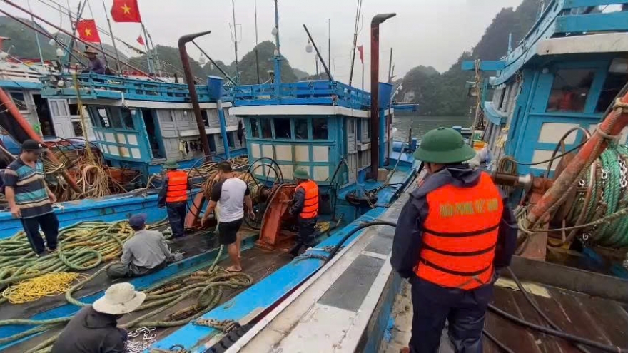 Bộ đội Biên phòng cùng ngư dân chằng buộc tàu thuyền, khẩn trương ứng phó bão số 3