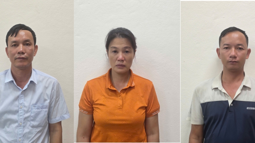 Khởi tố giám đốc công ty lâm nghiệp vi phạm khai thác rừng ở Quảng Ninh