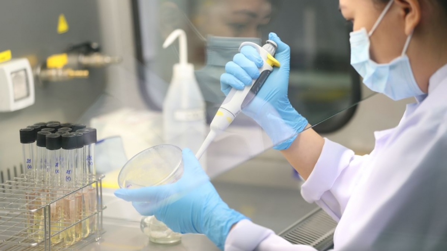 Acecook Việt Nam - 30 năm cống hiến cho xã hội thông qua ẩm thực