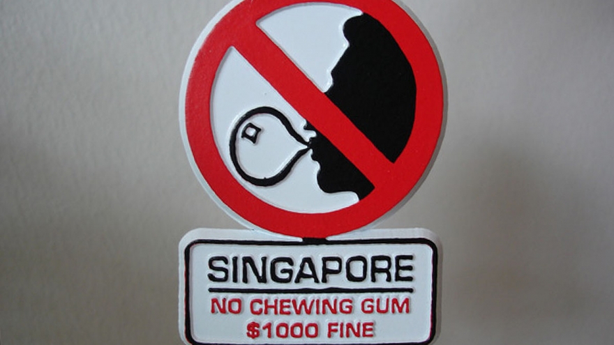 Những lưu ý tưởng như vớ vẩn có thể khiến chuyến đi mơ ước của bạn thành thảm họa