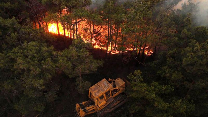 Cháy rừng tiếp tục lan rộng tại Syria