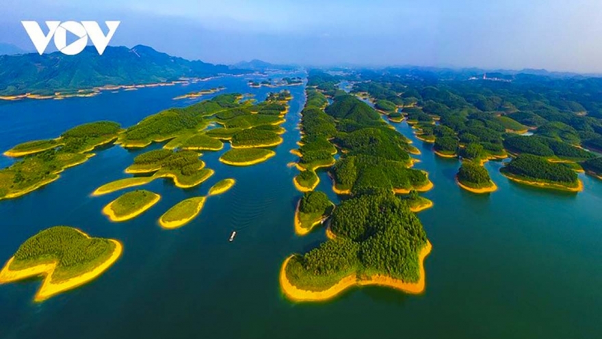 Chậm trễ chuẩn bị khuôn khổ pháp lý cho thị trường carbon tại Việt Nam