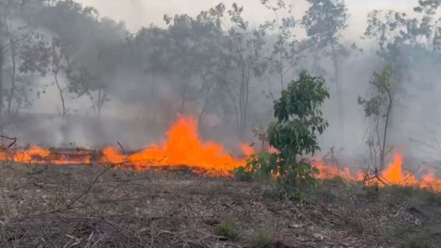 Huế: Dập tắt vụ cháy rừng gần 9ha tại phường Phong Phú