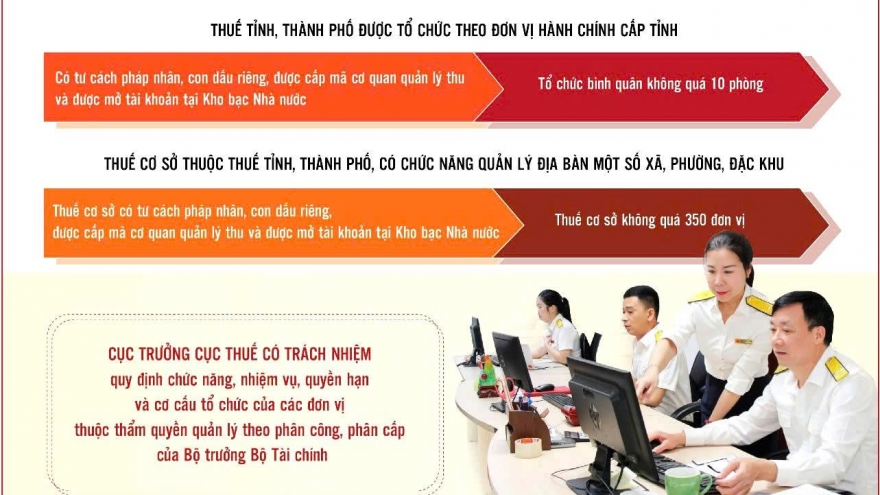 Cơ cấu tổ chức, bộ máy mới của Cục Thuế từ ngày 1/7/2025