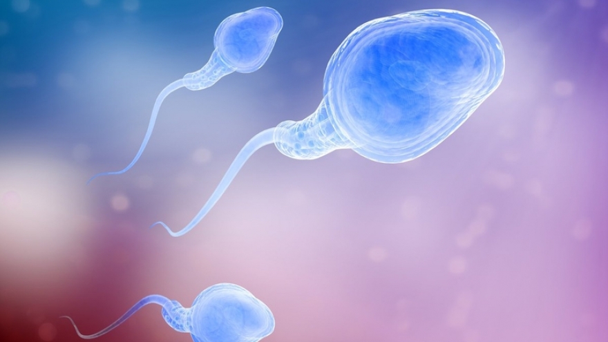 Hóa chất và chất lượng tinh trùng: Sự thật ít ai ngờ