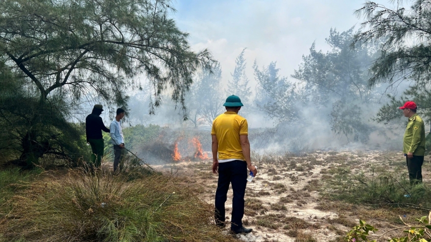 Cháy rừng ven biển Quảng Trị