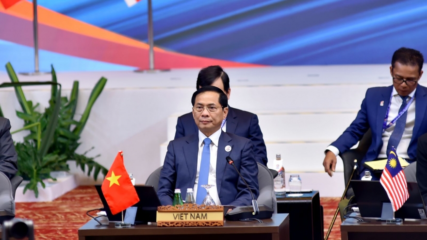 Việt Nam đề cao vai trò Hiệp ước Khu vực Đông Nam Á không có vũ khí hạt nhân