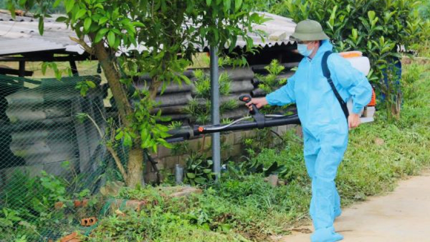 Bệnh nhi 9 tuổi tại Quảng Ninh mắc viêm não Nhật Bản B