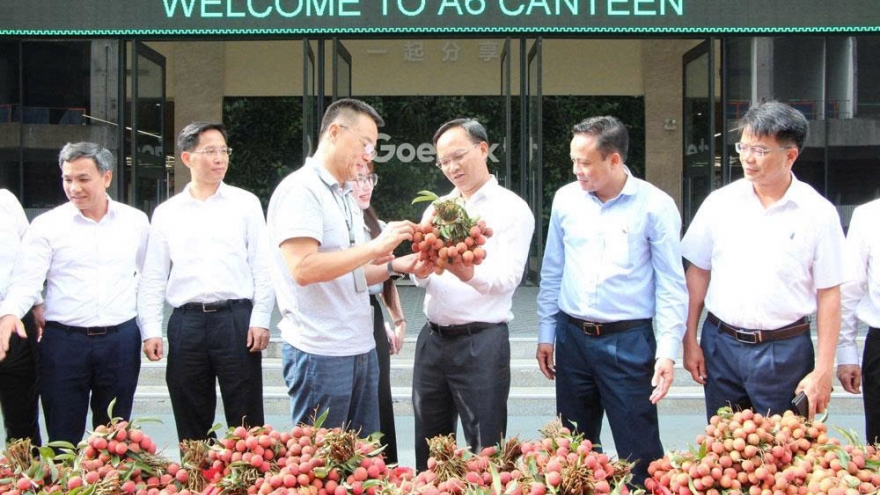 Thúc đẩy nông sản vải thiều Bắc Ninh vào bữa ăn công nhân các khu công nghiệp