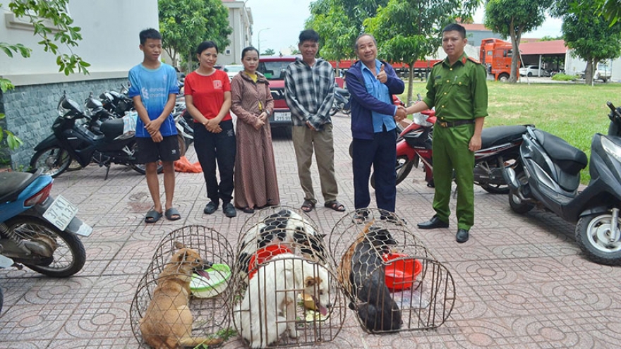Băng nhóm gây 50 vụ trộm, tiêu thụ 2 tấn chó bị bắt