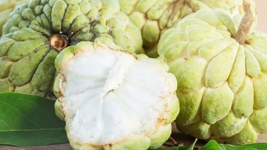 Thứ “cực độc” ẩn mình trong quả na, không may ăn phải “ân hận mấy cũng muộn”