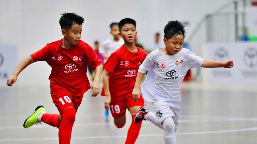 Lịch thi đấu và trực tiếp bóng đá Việt Nam hôm nay 14/8