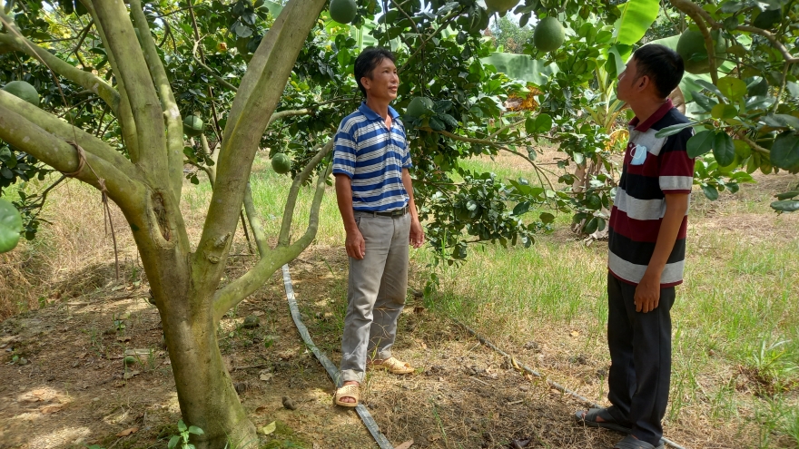 OCOP nông sản miền núi Khánh Hòa đón cơ hội dịp cao điểm du lịch 2/9