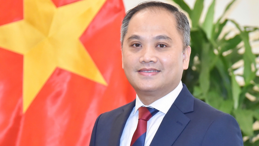 Việt Nam – New Zealand thúc đẩy quan hệ đối tác chiến lược toàn diện