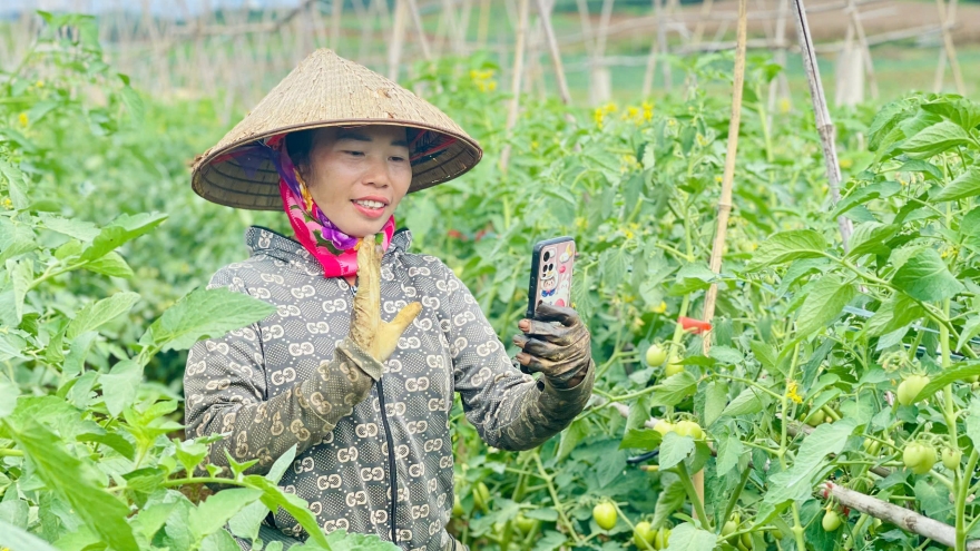 Bí thư, cấp ủy, đảng viên đi đầu thực hiện chuyển đổi số tại Sơn La