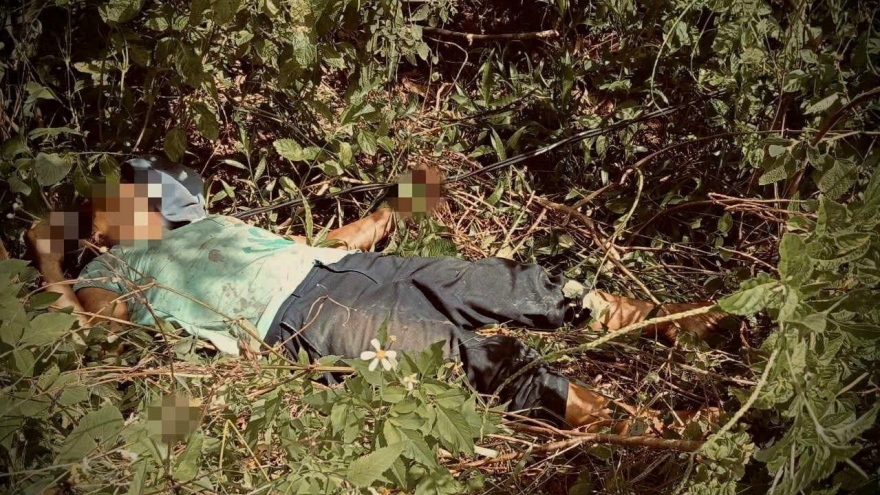 Huế: Người phụ nữ bị điện giật tử vong khi đi chăn bò