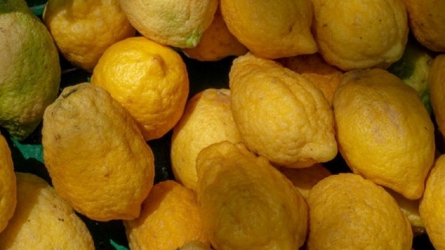 Loại quả vẻ ngoài sần sùi lại thơm lừng, là "dược liệu quý" nhưng hay bị ngó lơ