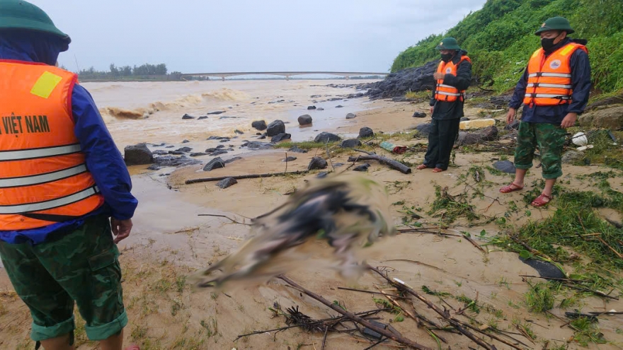 Thi thể trôi dạt bờ biển Cửa Tùng, Quảng Trị không phải ngư dân mất tích