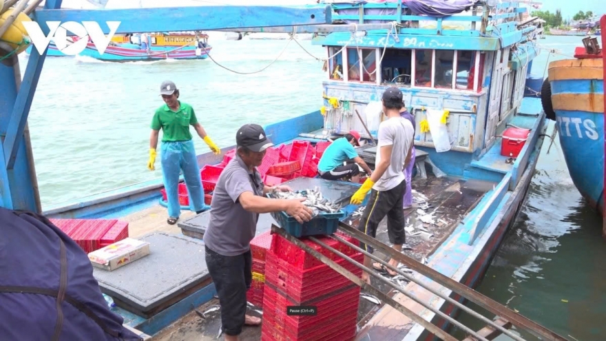 Tháng cao điểm chống khai thác bất hợp pháp, quyết tâm gỡ cảnh báo "Thẻ vàng"