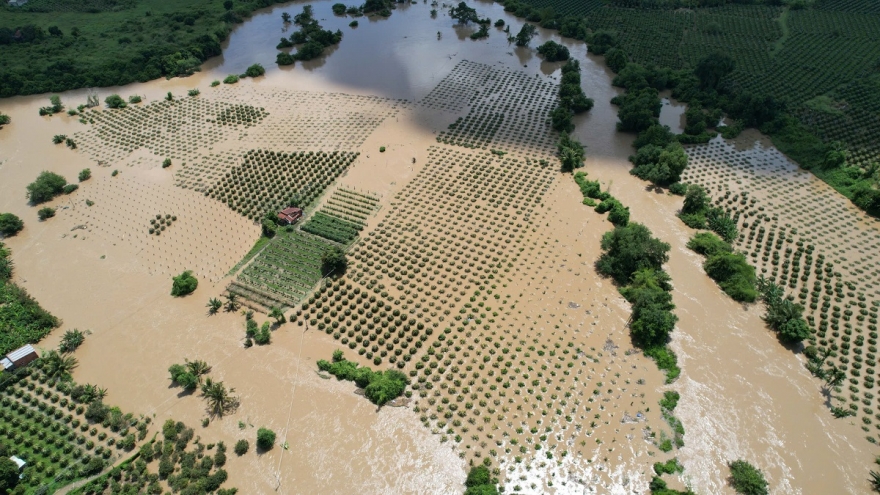 Mưa to đến rất to, Lâm Đồng thiệt hại khoảng 4,5 tỷ đồng, giao thông chia cắt