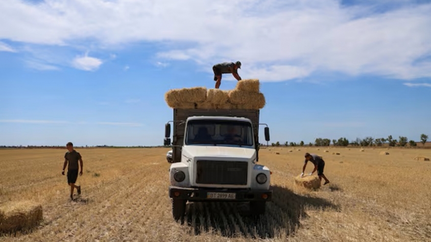 Hungary và Ba Lan gia hạn lệnh cấm nhập khẩu nông sản Ukraine