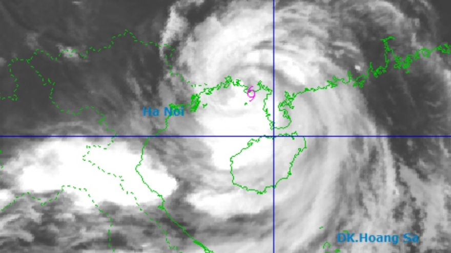 Bão số 11 mạnh cấp 11-12, cách Móng Cái (Quảng Ninh) khoảng 140km