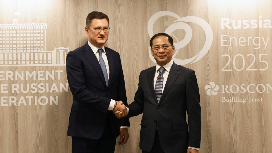 Phó Thủ tướng Bùi Thanh Sơn làm việc với Phó Thủ tướng Nga Aleksandr Novak