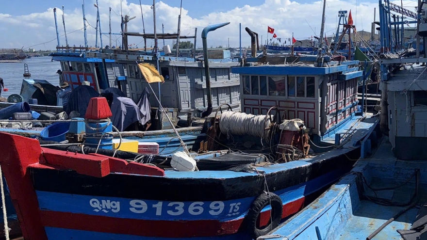 Quảng Ngãi xử phạt nhiều thuyền trưởng tàu cá vi phạm quy định trên biển