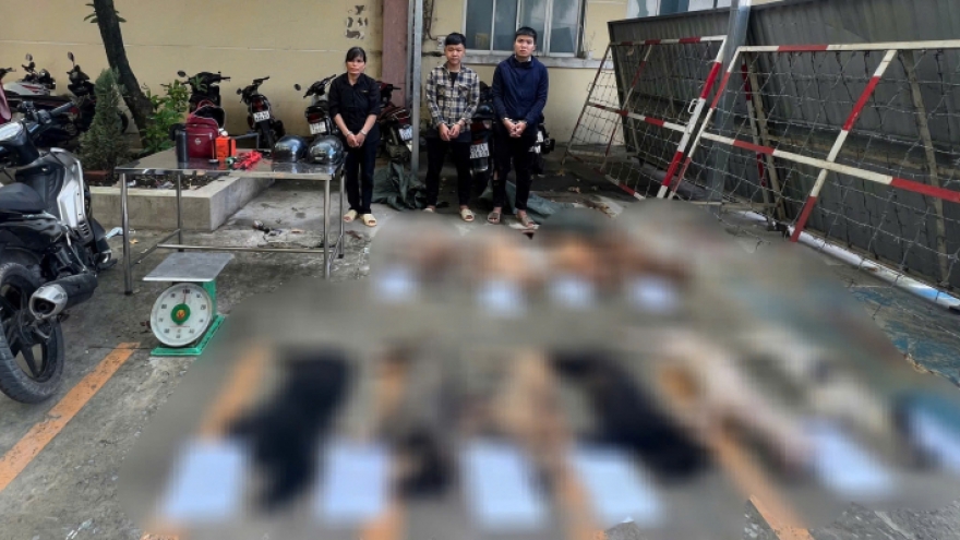 Triệt phá nhóm dùng súng điện tự chế trộm chó, bắt giữ 3 đối tượng