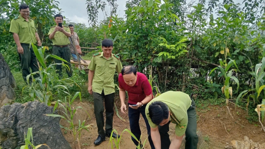 Thực hư thông tin hổ xuất hiện ở Khu Bảo tồn thiên nhiên Ngọc Sơn, Ngổ Luông