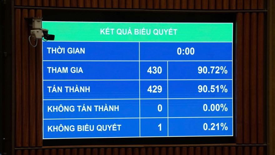 Điều kiện tiếp nhận, chuyển giao người đang chấp hành án phạt tù