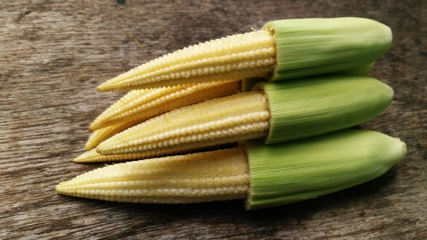 Bắp non: Món rau giòn ngọt, bổ dưỡng cho mọi gia đình