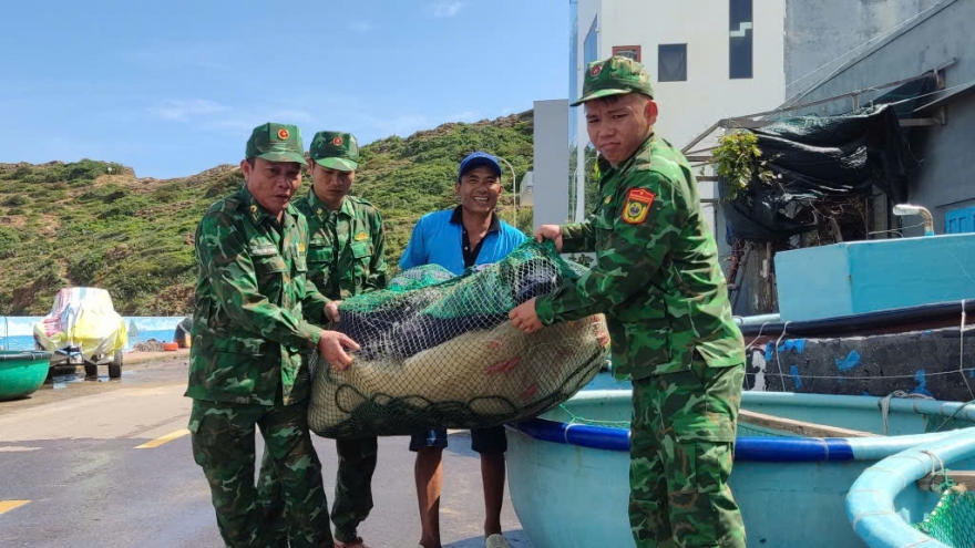 Gia Lai: Hướng dẫn hơn 5.000 tàu thuyền trú ẩn an toàn trước bão số 13