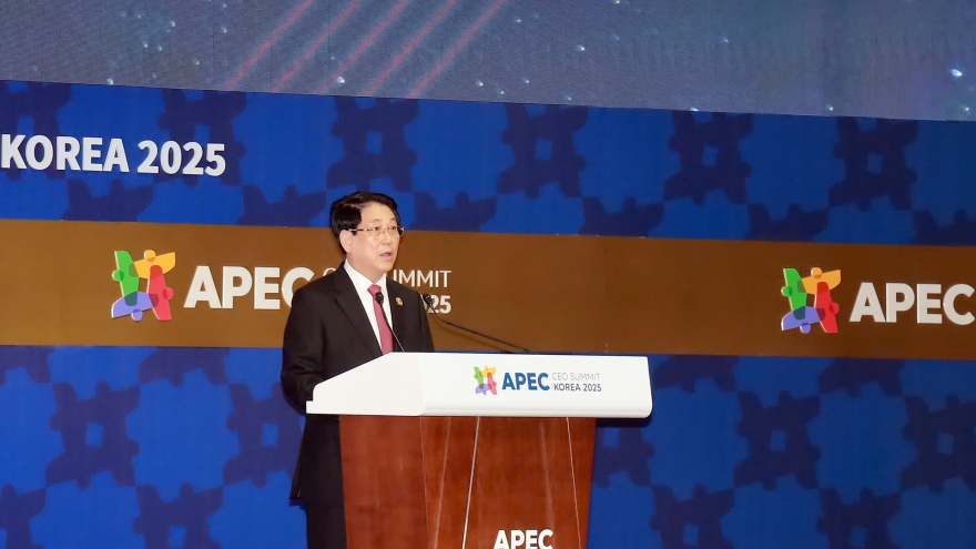 Nâng cao vị thế của Việt Nam tại APEC, thúc đẩy hợp tác toàn diện Việt - Hàn