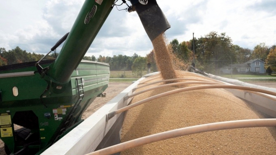 Trung Quốc tái nhập khẩu đậu nành từ Mỹ