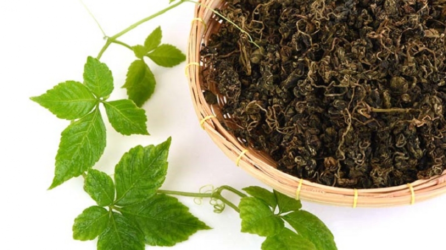 Trà giảo cổ lam có thật sự giúp giảm cân? Cách dùng an toàn