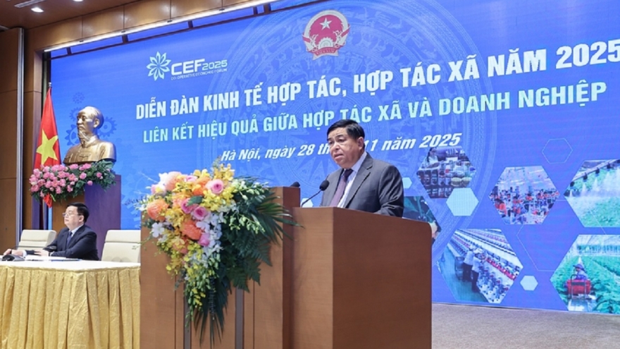 Hợp tác xã phải được coi là đối tác bình đẳng trong nền kinh tế thị trường