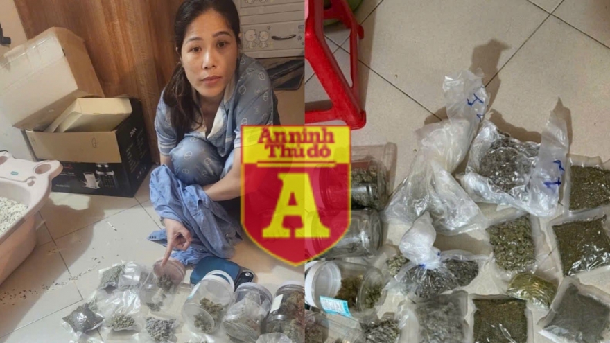 Bắt "nữ quái" tiêu thụ cần sa tại Hà Nội qua dịch vụ giao hàng công nghệ