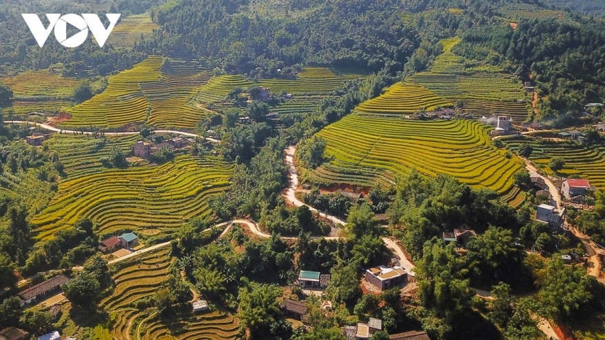 Sức bật từ phong trào thi đua yêu nước: Khi ý chí thành động lực phát triển