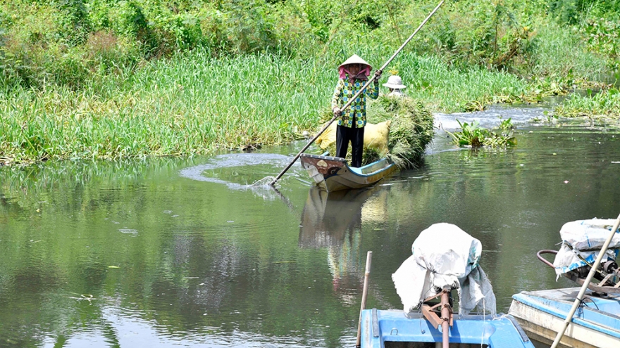 Phiên chợ độc đáo ở An Giang, người mua hiếm khi mặc cả
