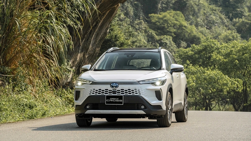 Top xe hybrid được yêu thích nhất thị trường Việt Nam tháng 11/2025