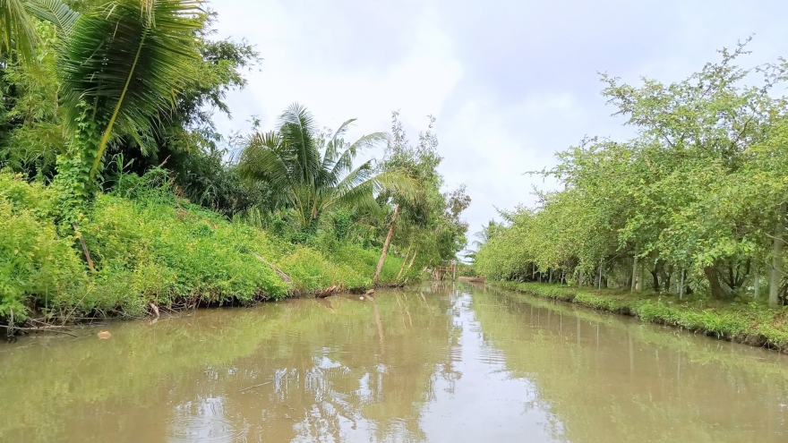 Cần Thơ ra văn bản yêu cầu chủ động ứng phó áp thấp nhiệt đới gần Biển Đông