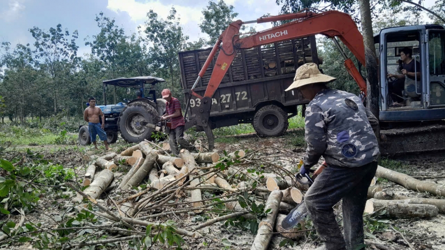 3 xã ở Đồng Nai bị "tuýt còi" vì chậm tiến độ giải phóng mặt bằng dự án cao tốc