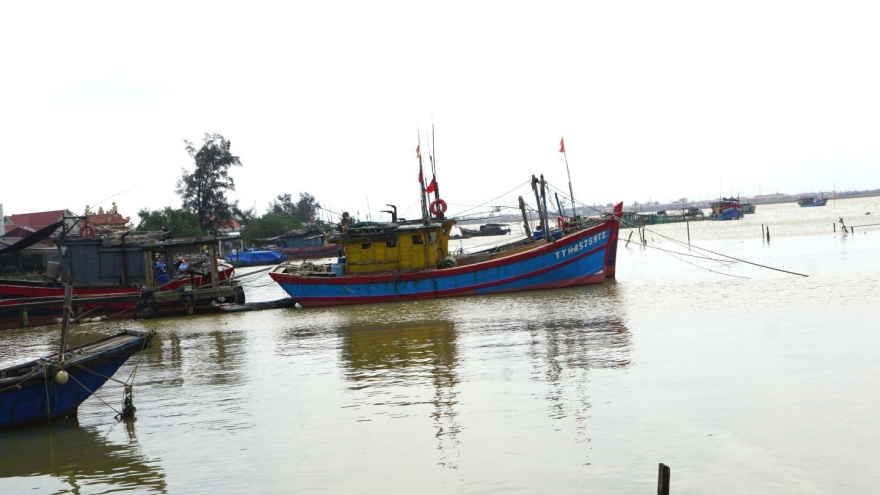 Huế hỗ trợ giải bản hơn 100 tàu cá không đủ điều kiện hoạt động
