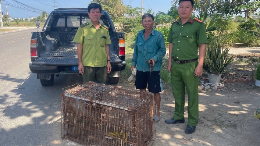 Nhiều cá thể quý hiếm được người dân Lâm Đồng giao nộp