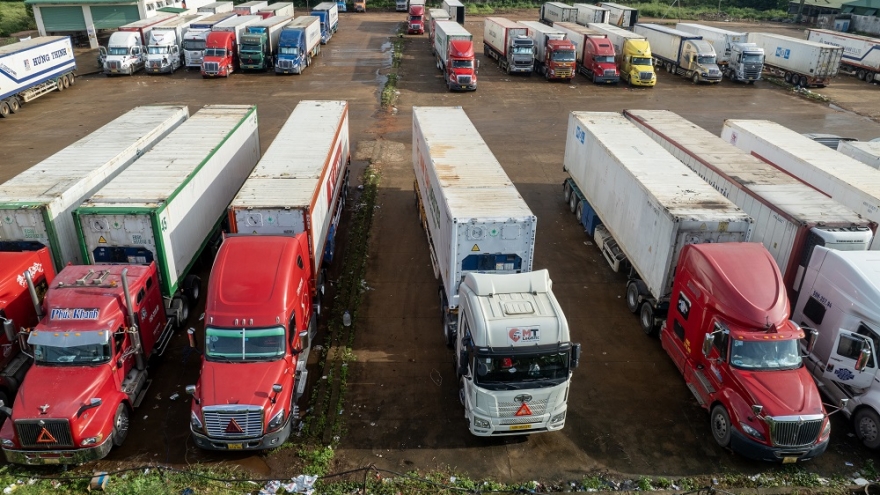Mùa vàng lệch vụ, giá trị tỉ đô - động lực tăng trưởng bền vững của Đắk Lắk