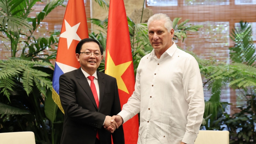 Phó Thủ tướng Hồ Quốc Dũng gặp Bí thư thứ nhất, Chủ tịch Cuba Miguel Díaz-Canel