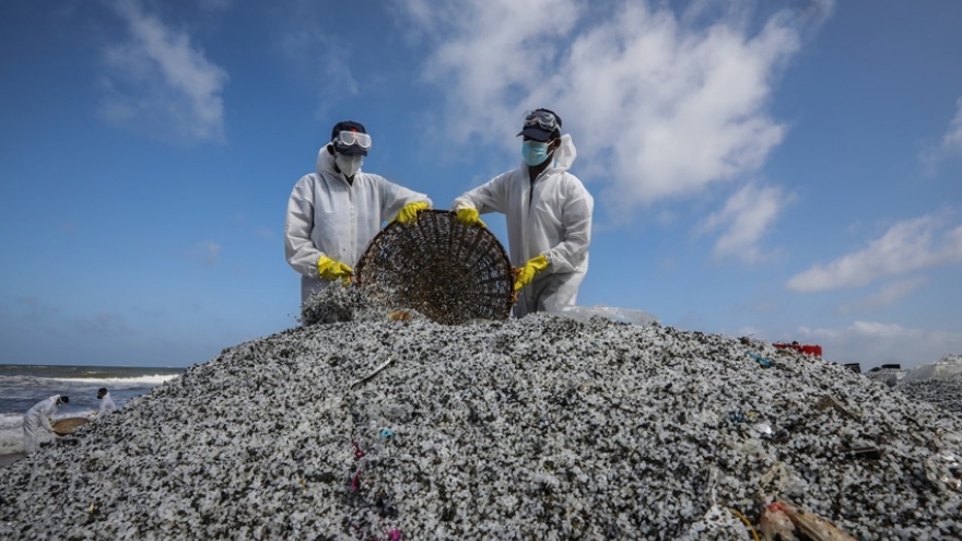 EU chính thức tuyên chiến với "hạt nhựa"