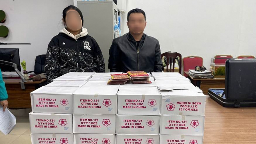 Bắt giữ 2 đối tượng buôn bán pháo nổ và súng bắn đạn pháo