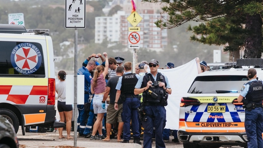 4 người bị cá mập tấn công: Australia đóng cửa nhiều bãi biển